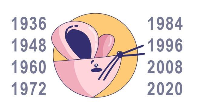 Восточный гороскоп 2020год: год Крысы для Крысы