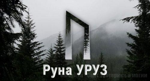 Скандинавская руна Уруз олицетворяет могущество, силу и власть. Соединяя в себе противоположности: свет и тьму, огонь и лёд, — она помогает обрести гармонию через перерождение. Значение прямой и перевернутой руны