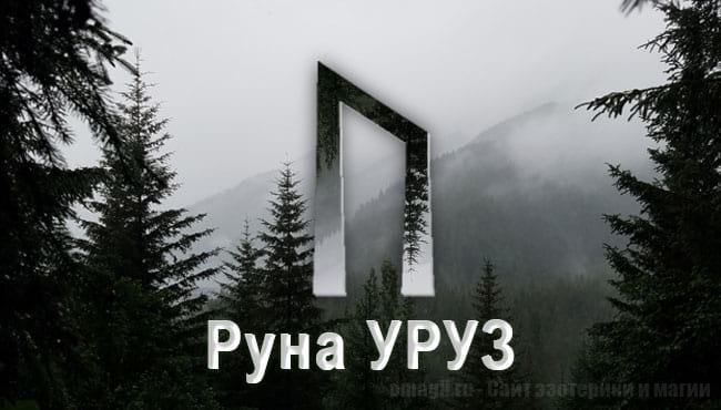 Скандинавская руна Уруз олицетворяет могущество, силу и власть. Соединяя в себе противоположности: свет и тьму, огонь и лёд, — она помогает обрести гармонию через перерождение. Значение прямой и перевернутой руны