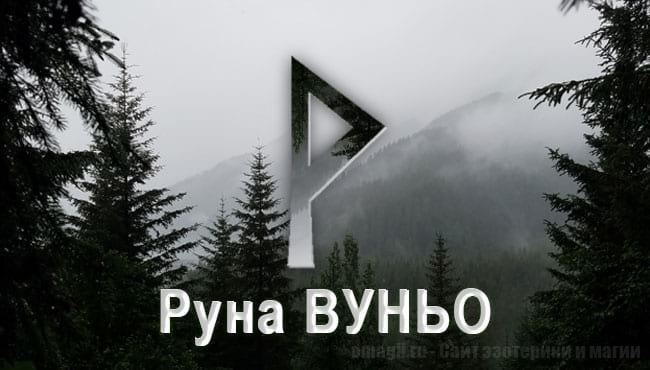 Скандинавская руна Вуньо. Старший Футарк. Значение прямой и перевернутой руны.