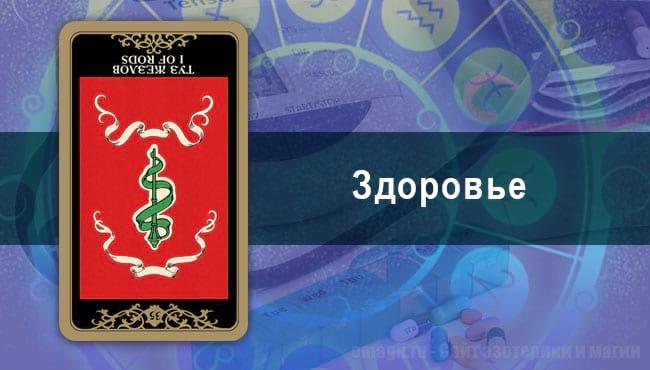 Таро Гороскоп на июль 2020 года на здоровье для Львов