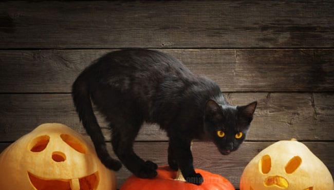 Как определить сглаз и какие способы защиты есть