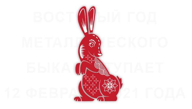 Гороскоп на 2021 год для Кролика Кота
