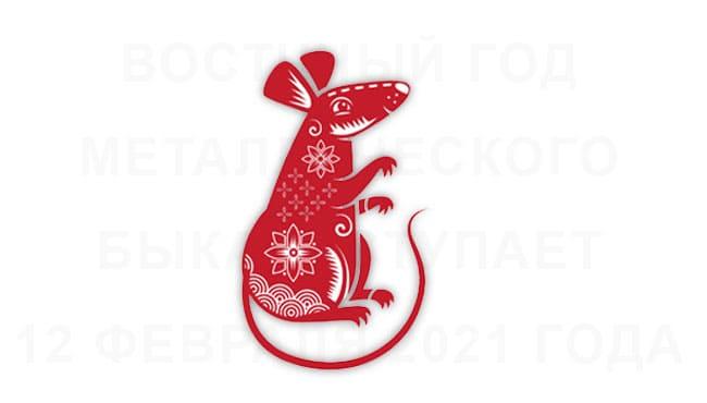 Гороскоп на 2021 год для Крысы