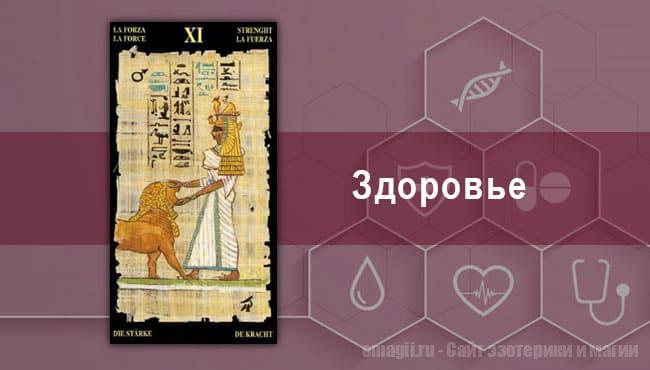 Таро Гороскоп на ноябрь 2021 года на здоровье и самочувствие для Козерогов