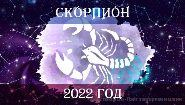 Астрологический гороскоп на 2022 год для Скорпионов