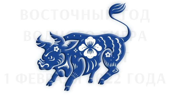Китайский гороскоп на 2022 год для быка