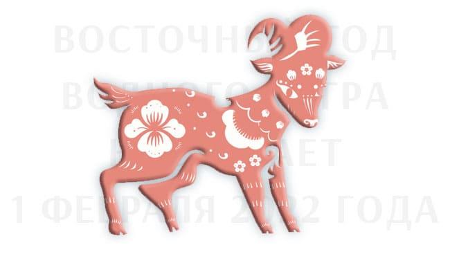 Китайский гороскоп на 2022 год для козы