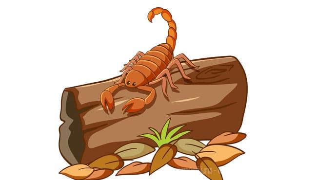 Какие камни у скорпиона