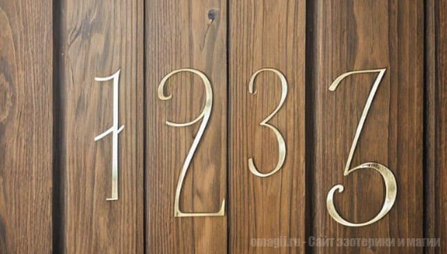 Рожденные 29 числа