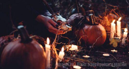 верить в заговор и строго следовать правилам