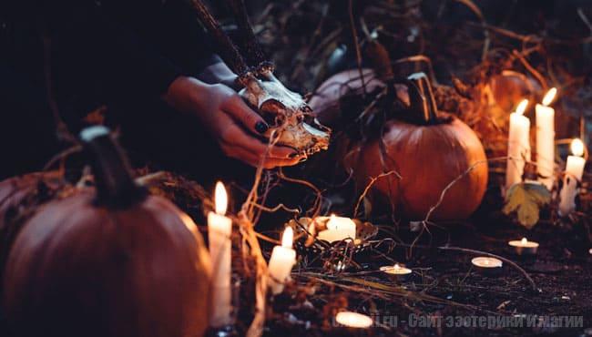 верить в заговор и строго следовать правилам