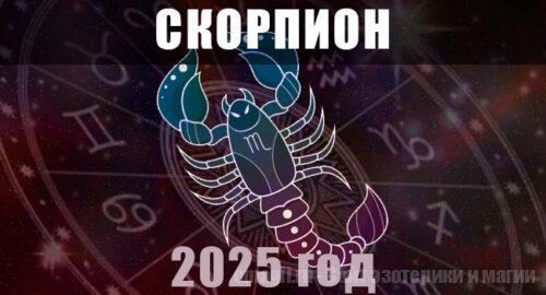 Астрологический гороскоп для Скорпионов на 2025 год