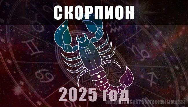 Астрологический гороскоп для Скорпионов на 2025 год