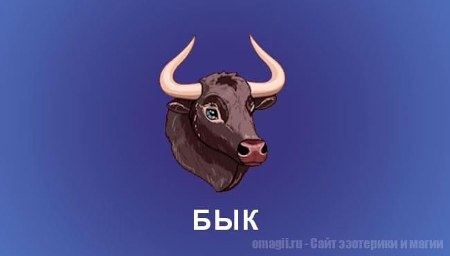 Китайский гороскоп 2025 год: Бык