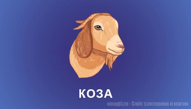 Китайский гороскоп 2025 год: Коза