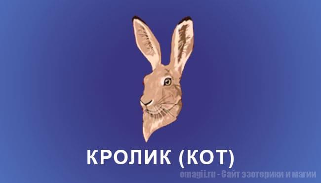 Китайский гороскоп 2025 год: Кролик