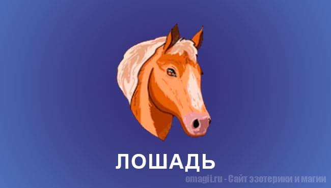 Китайский гороскоп 2025 год: Лошадь