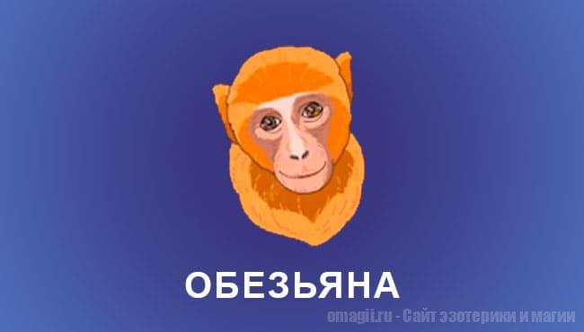 Китайский гороскоп 2025 год: Обезьяна