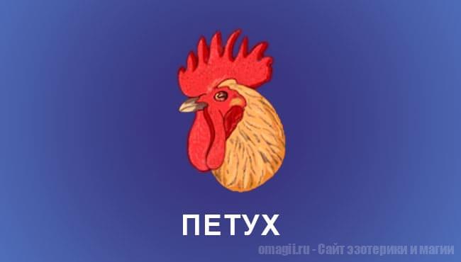 Китайский гороскоп 2025 год: Петух