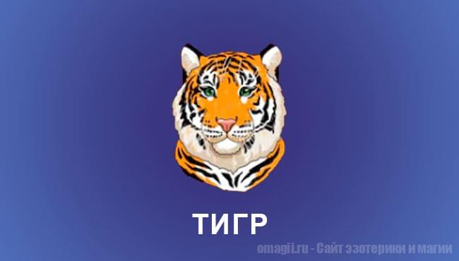 Китайский гороскоп 2025 год: Тигр