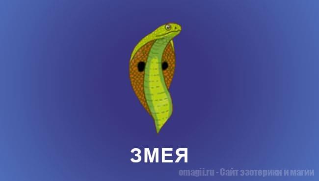 Китайский гороскоп 2025 год: Змея