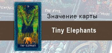 Tiny Elephants в Таро prisma visions — Невидимая защита