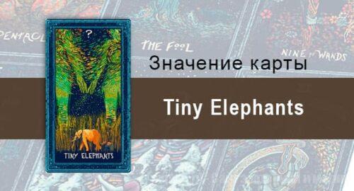 Tiny Elephants в Таро prisma visions — Невидимая защита
